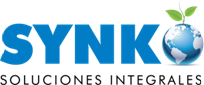 Synkointegral